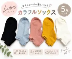 5足セット カラフル レディース くるぶしソックス 靴下 通気性 脱げにくい