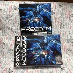 2025年最新】Freedom 完全生産限定盤の人気アイテム - メルカリ