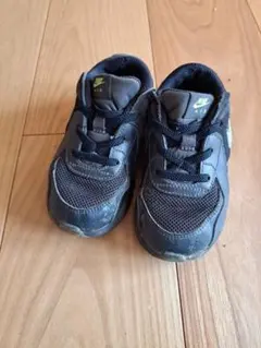 Item thumbnail for item 1c95de6f-d41a-4872-a367-4df6f7e92995