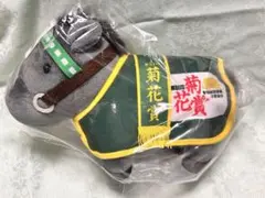 サラブレッドコレクションDMMスクラッチB賞 メジロマックイーン