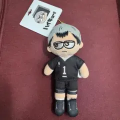 ハイキュー　北信介　ジロリ　ぬいぐるみ