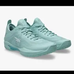 グライドノヴァ ff3 ミント　完売カラー　24センチ　新品未使用　箱付き グライドノヴァ ff3 ミント 完売カラー 24センチ 新品未使用 箱