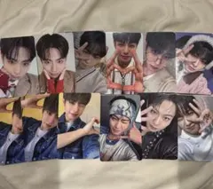 evnne タレントカード