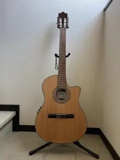 2026年最新】Ibanez GA30TCEの人気アイテム - メルカリ