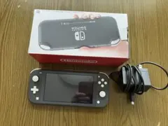 ジャンク　Nintendo Switch Lite グレー 本体 充電器付き
