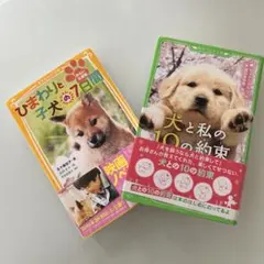 Item thumbnail for item b2eb0f3f-f9d7-4d16-9649-0f122875dcbe