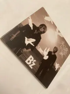 Item thumbnail for item 2679c9b8-347c-41be-ae38-a51557c4fa19