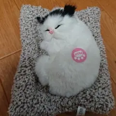 2025年最新】眠り猫の人気アイテム - メルカリ