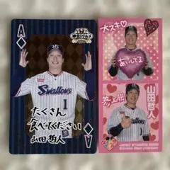 東京ヤクルトスワローズ/山田哲人グルメ特典カードセット