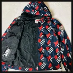 262【極美品・鑑定済】モンクレールジーニアスDORFMANマウンテンパーカ3のサムネイル