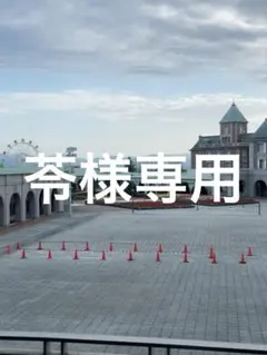 苓様専用です