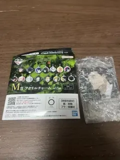 一番くじ 呪術廻戦 死滅回游 ～壱～　M賞アクリルチャーム　日車寛見