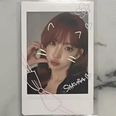 lesserafim サクラ タレントカード