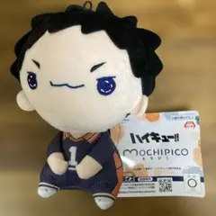 ハイキュー!! もちぴこぬいぐるみ 澤村大地