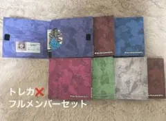 ENHYPEN the sin vanish 全メンバー トレカなし idあり