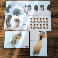 Item thumbnail for item bb539efc-f3b0-46a6-8bf7-e08ec2adbd32