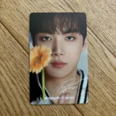 DFESTA 入場トレカセット
SEVENTEEN 2025年最新】DFESTAの人気アイテム - メルカリ