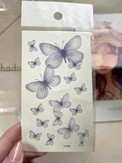 Item thumbnail for item ee7685e9-7cdd-4af7-aae3-d856fe7ad2ef