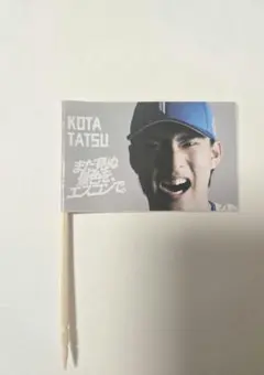 Item thumbnail for item 72665063-38ae-4da4-b489-7ec26196e27a