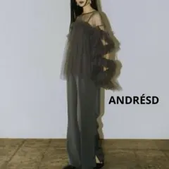タグ付✨ANDRÉSD アンドレスド チュール トップス オールインワン セット