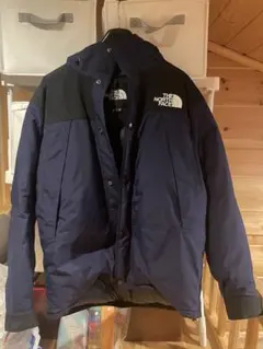 ザノースフェイス　マウンテンダウンジャケット L