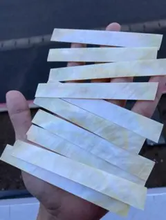 白蝶貝　10枚セット　螺鈿細工　ルアー　ボタン作り　ハンドメイド　ハンドクラフト