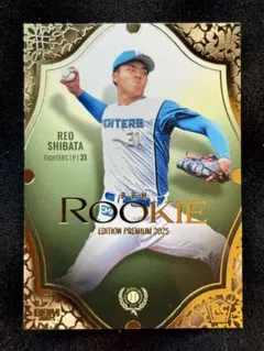 100枚限定】BBM 2016 吉田正尚 ルーキーカード - メルカリ