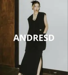 ANDRESD アンドレスド　back sheer gilet バックシアージレ