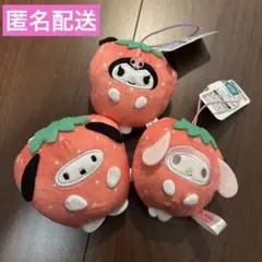 新品未使用 サンリオ 着ぐるみ いちご ３点セット