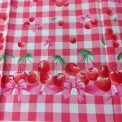 クラシカルモダン　ハギレ　チェリー　チェック オックス　キヨハラ　完売品？