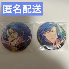 HiMERU あんスタ 缶バッジ マトリックス EXTRA 開花前後 20点 - メルカリ