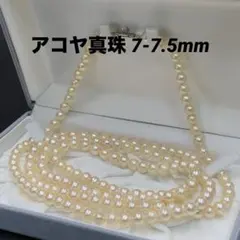 照り強✨アコヤ本真珠ロングネックレス 133cm 大珠8.1-8.4mm