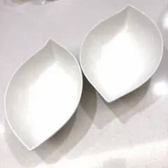 RAYNAUD レイノー・ミネラルシリーズ リーフ型 2個セット - メルカリ