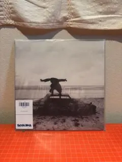 踊ってばかりの国/ On the shore LP アナログ - メルカリ
