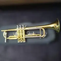 2026年最新】minerva トランペットの人気アイテム - メルカリ