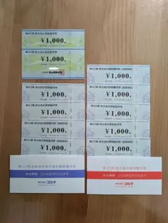 コジマ ビックカメラ 株主優待券 11000円分