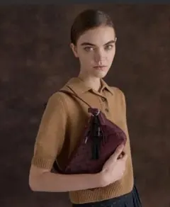 CHARLES & KEITH イヴェット ウーブンショルダーバッグ