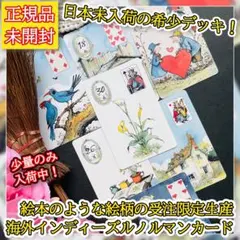 ✨日本未入荷✨受注限定生産の希少品！絵本のような絵柄のルノルマンカード