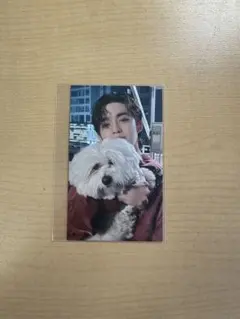 SEVENTEEN エスクプス スンチョル FML 東京ドーム 会場限定 トレカ