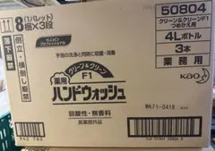 最安値 花王 クリーン&クリーンF1 薬用ハンドウォッシュ 4リットル×3本のサムネイル