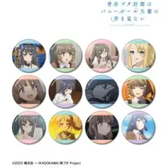 青春ブタ野郎はバニーガール先輩の夢を見ない 青ブタ 缶バッジセット