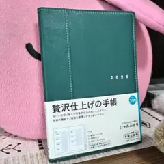 Item thumbnail for item be658a15-8cb8-45fd-9ebf-bd7c6e1d871c