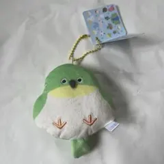 つぶらな瞳の鳥　めじろ