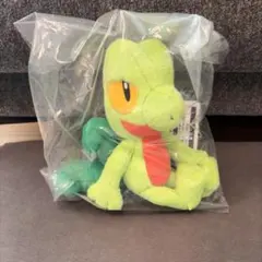 ポケモン 1番くじ 30周年 ぬいぐるみ ツタージャ - メルカリ