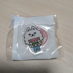 TXT プルバトゥ　 ヨンモン　アクスタ