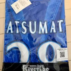 ふ*須様 サンフレッチェ広島 レプリカユニフォーム トルガイ