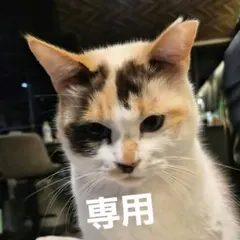 専用です