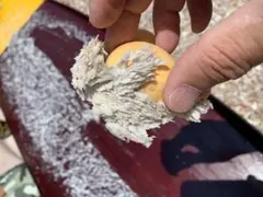 Item thumbnail for item 5969a917-186d-4b4f-9a5a-6b732e95ed5e