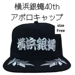 2025年最新】横浜銀蝿キャップの人気アイテム - メルカリ