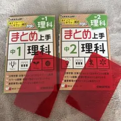 Item thumbnail for item 43daf5e1-b5da-49d2-b706-de242c719f22